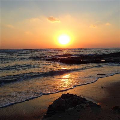 华体会登录手机版手机app下载