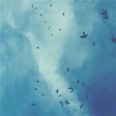 网络手机赌钱软件下载