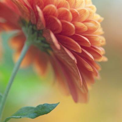 hth会体会官方网页版app下载