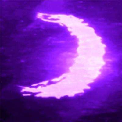 b体育官方入口在线登录网站截图