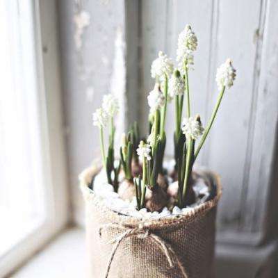 澳门·新甫京娱乐娱城下载手机版