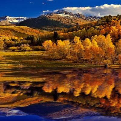 BB贝博平台登录app手机app下载