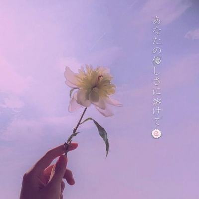 北京k10赛车下载app