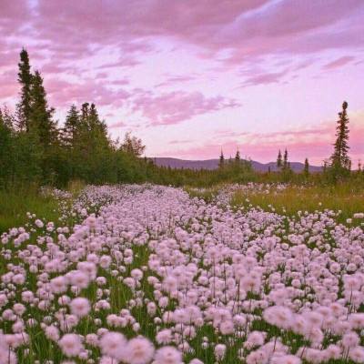 天成彩票APP下载