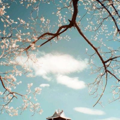 云开平台APP官方全站APP入口app下载