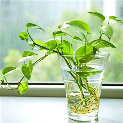 ng体育电子游戏下载手机版