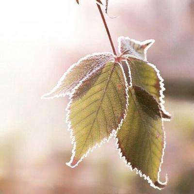 b体育官方入口在线登录网站