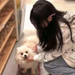 乐发彩票app下载x